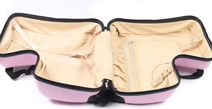 Silk & Salt TFCFL 20 inch Children Kid LuggaSuitcase School Backpack Pull Rod Trolley Case^ Checked Luggage