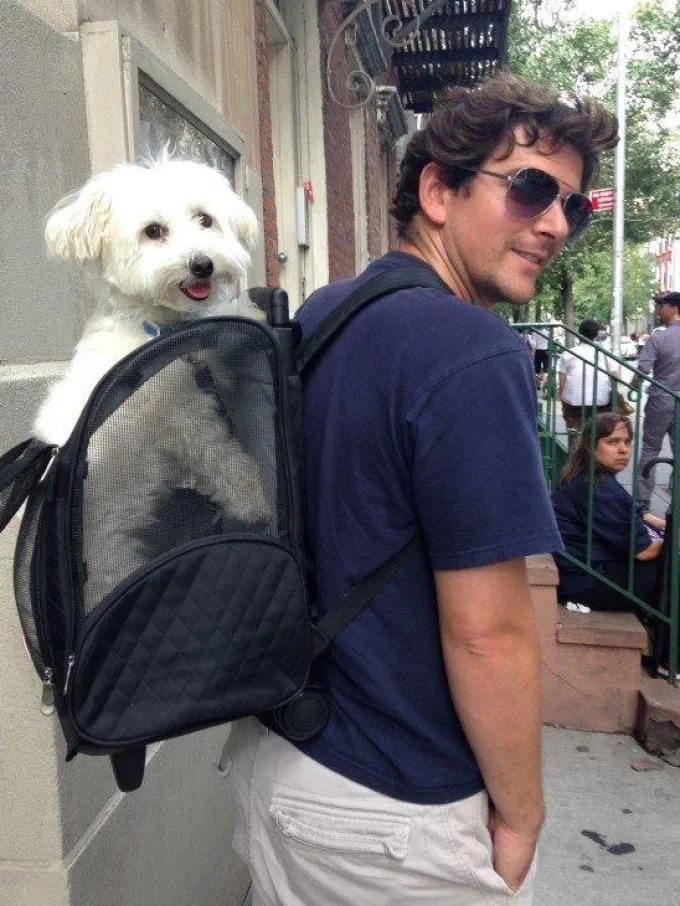 Silk & Salt Snoozer Roll Around Travel Dog Carrier Backpack 4-in-1^ Checked Luggage