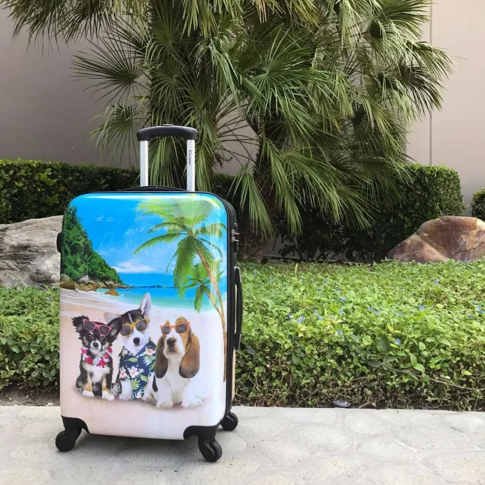 Silk & Salt Chariot Kona 3-Piece Hardside Expandable Spinner LuggaSet^ Hard Side Luggage